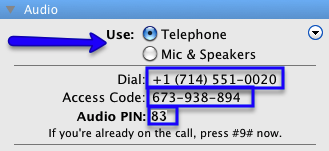 GoToMeeting Audio