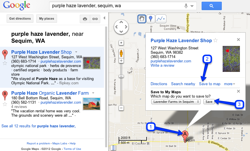 Google maps business