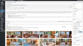 Lake Shore Cabins website Rooms custom post type editor