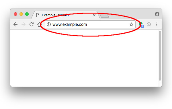 Google Chrome web browser with address bar highlighted