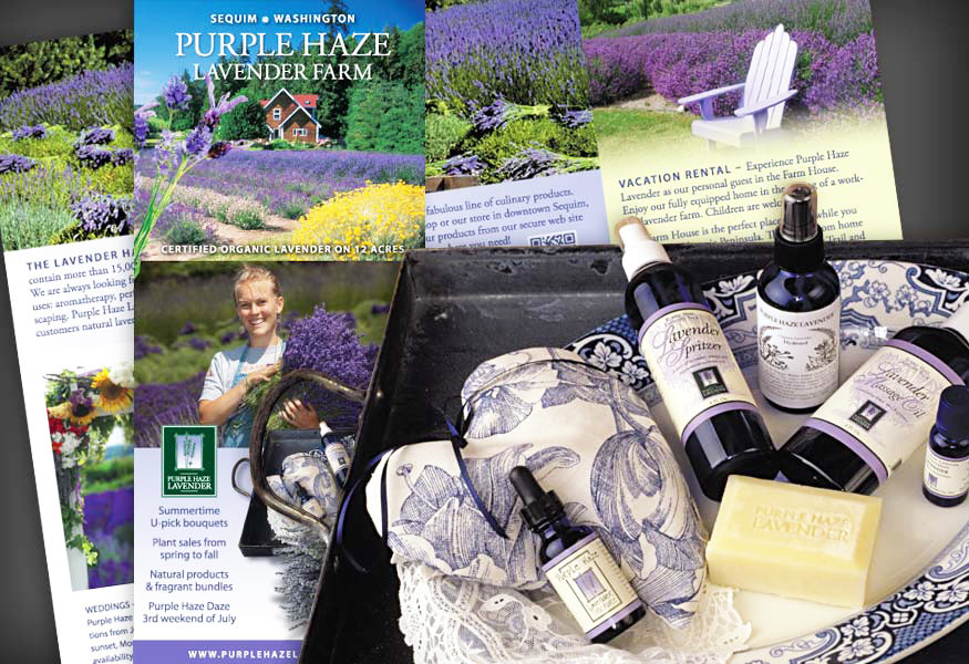 Purple Haze Lavender Portfolio