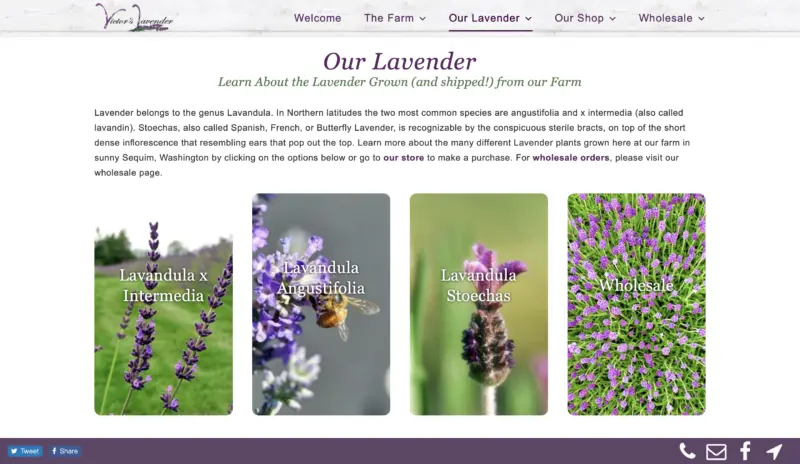 Lavender Farm Website