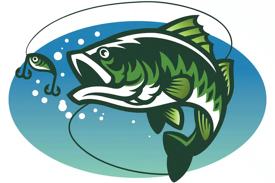 vector of largemouth bass fish mascot