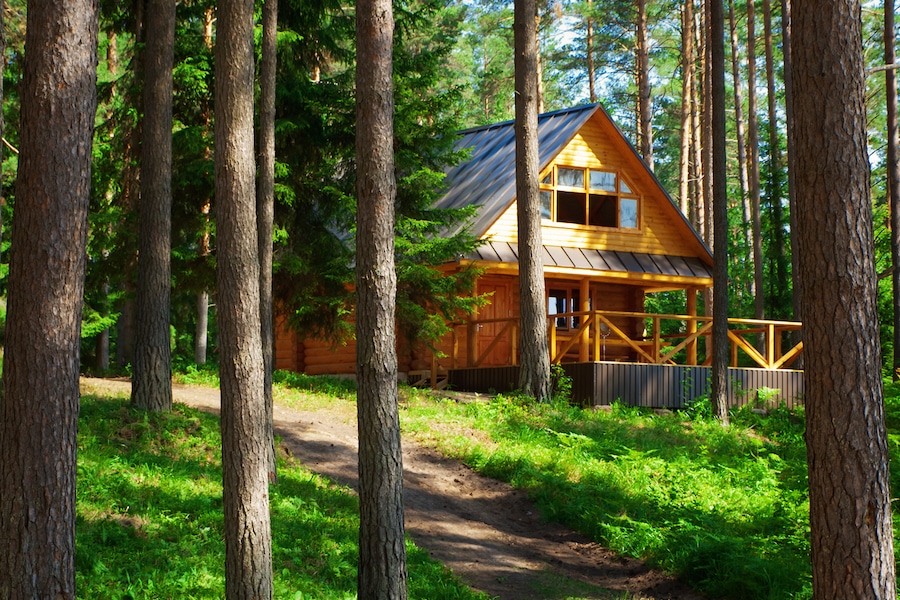 Lodge in pacific northwest woods