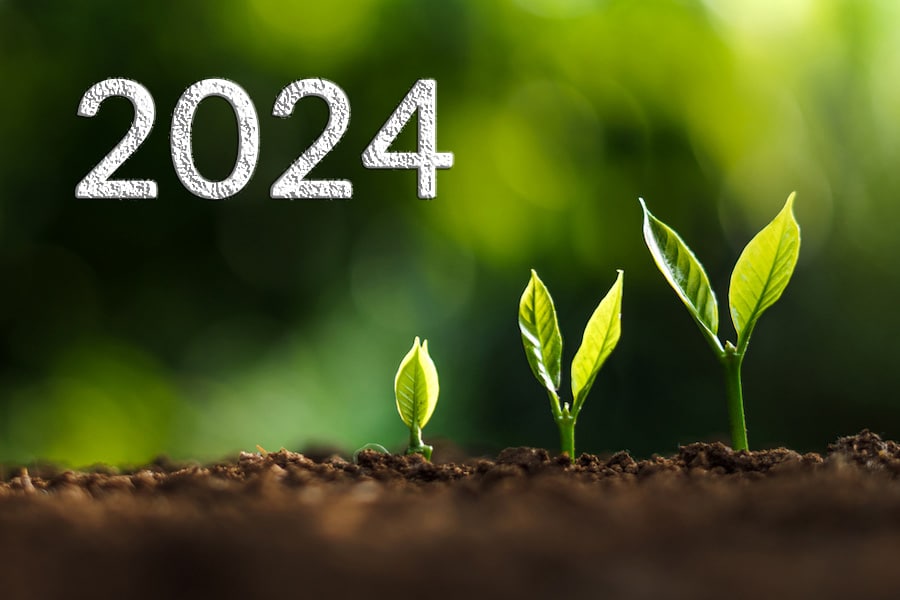 plants growing in stages with 2024 about them. Concept of growing in 2024