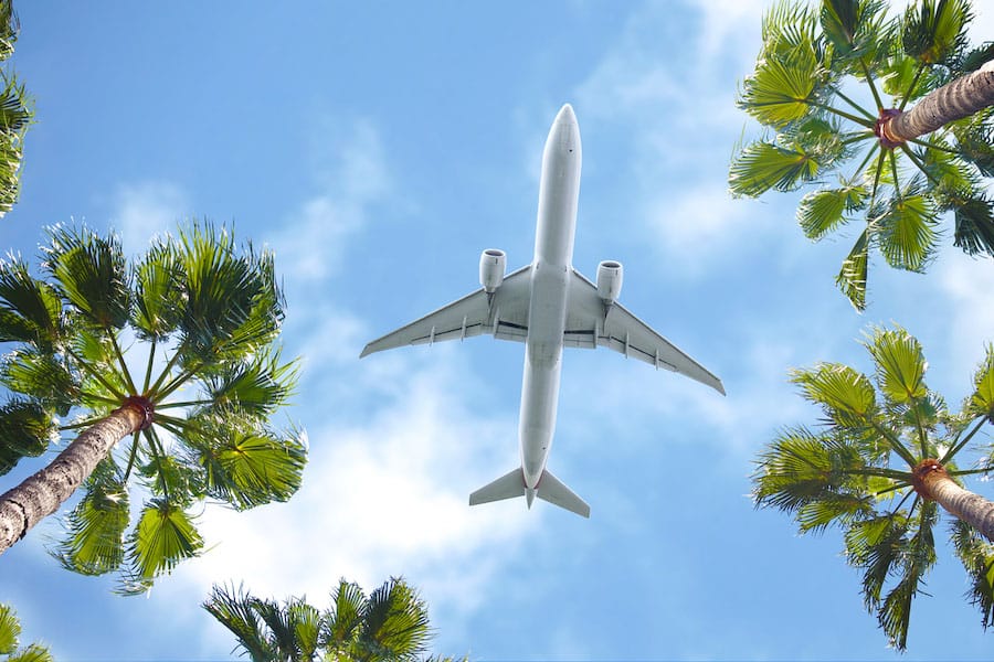 Airplane flying over Palm Trees